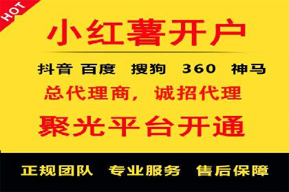 竞价排名与自然排名的对比案例